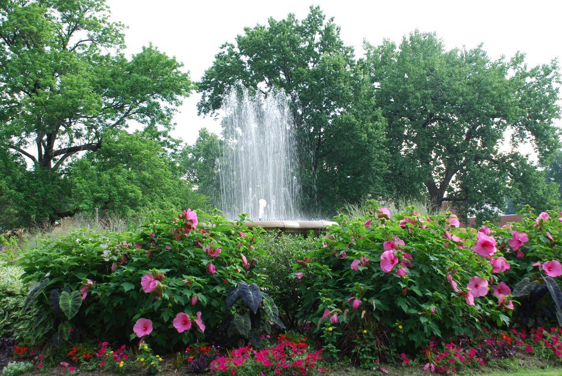 u-city-in-bloom3.jpg